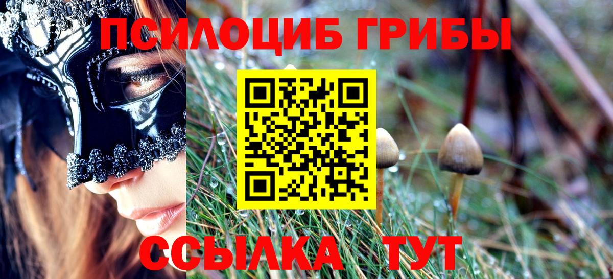 Псилоцибиновые грибы мицелий  купить   Рязань  Вход с VPN  Псилоцибиновые грибы ЛСД 