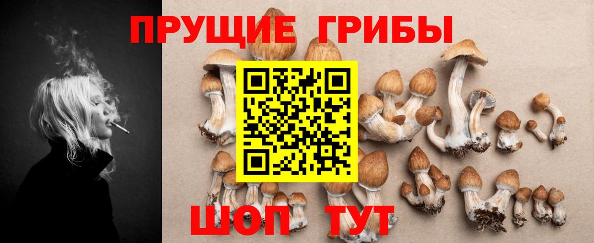 Псилоцибиновые грибы GOLDEN TEACHER Рязань